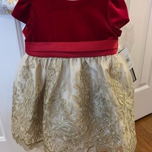Brand New with tags Girls Velvet/Embroidered Mesh Dress 
Size 6-12 mon